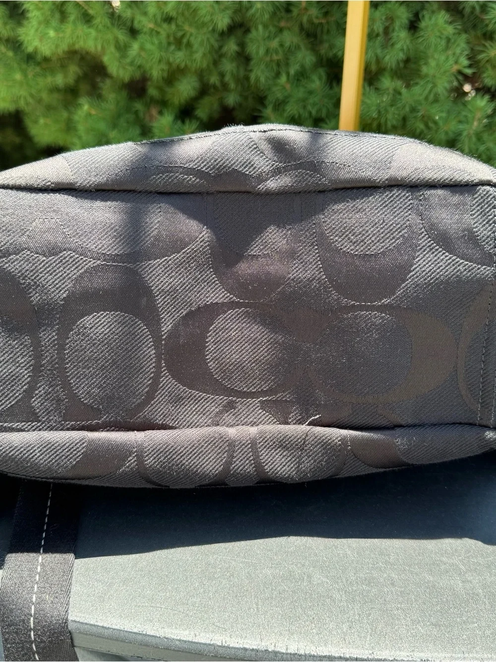 Coach Kyra Daisy Signature Canvas Backpack with Black Trim